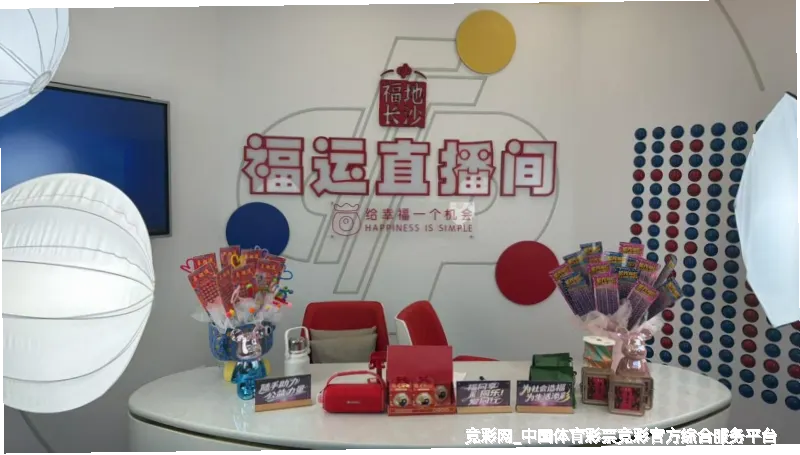 未来愿景与发展方向