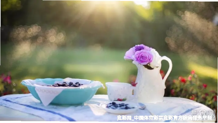使用方法与注意事项